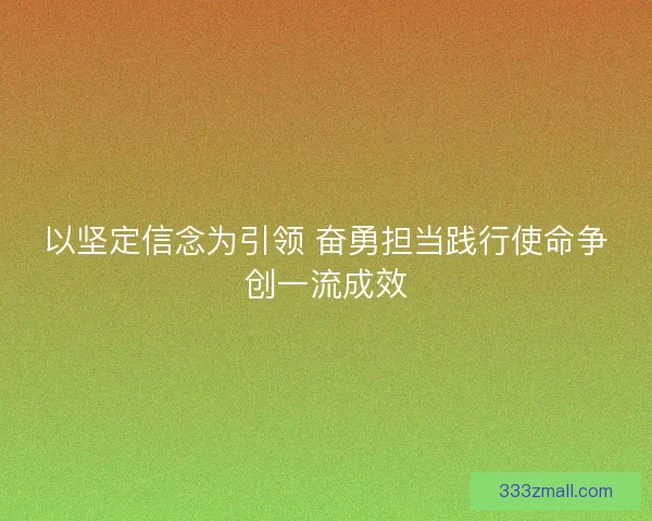 以坚定信念为引领 奋勇担当践行使命争创一流成效