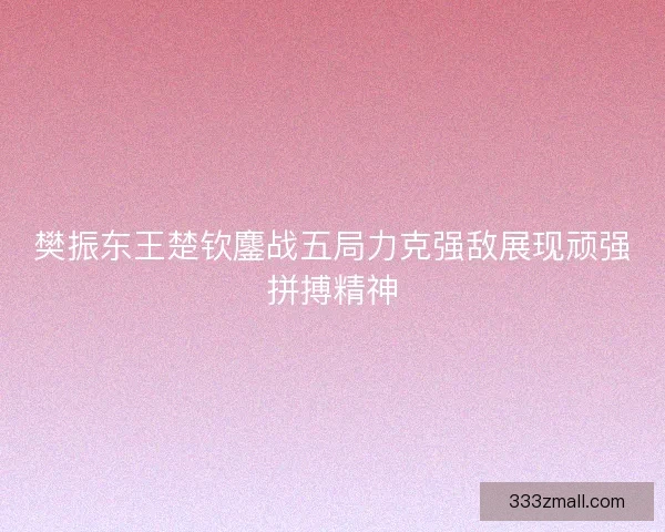 樊振东王楚钦鏖战五局力克强敌展现顽强拼搏精神